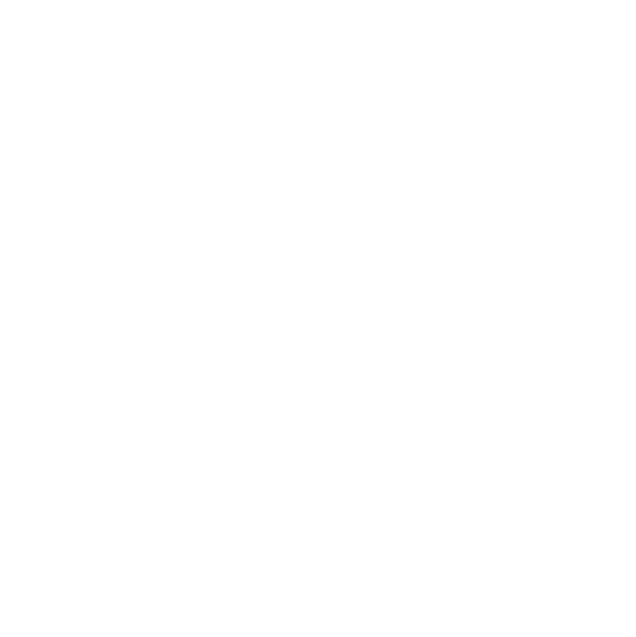 Technical SEO Audits